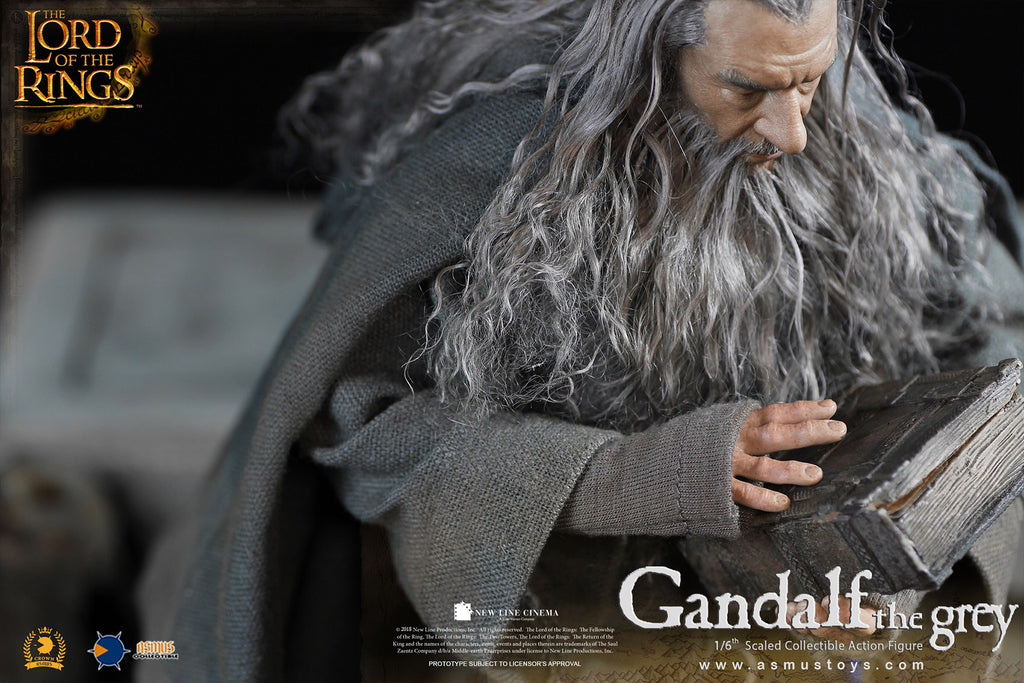 Gandalf der Graue